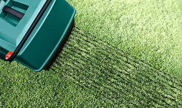 lawn scarification service ely haddenham lawn care