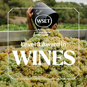 Qualification tile_1080x1080_wines6.jpg