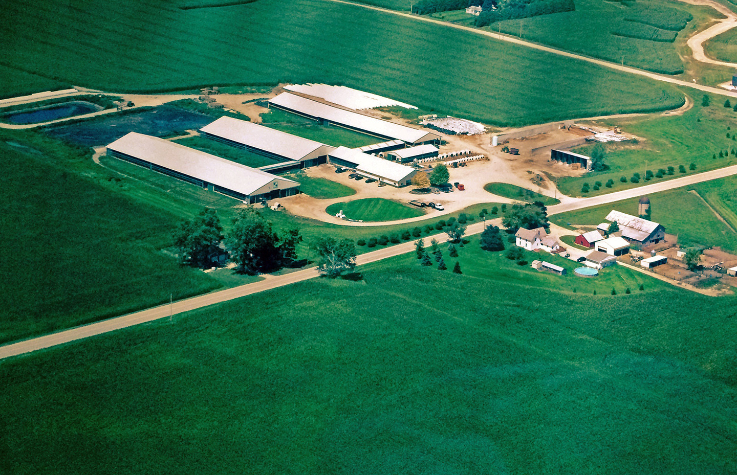 Sugar Creek Dairy photo