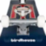 Thumbnail: Birdhouse Hawk 8.0