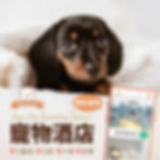 樂高寵物酒店-查詢及預約