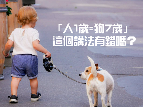 「人1歲=狗7歲」這個講法有錯嗎?
