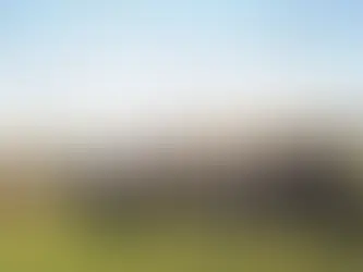 Congratulations to Seaford High School Graduates from the 39th District