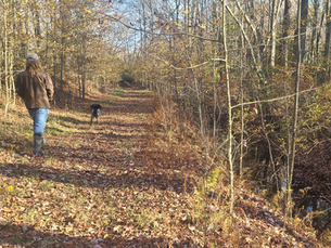 Ben Parsons, while helping to create trails through preserved lands, learned about a concept that reshaped his understanding of the natural world: habitat fragmentation.