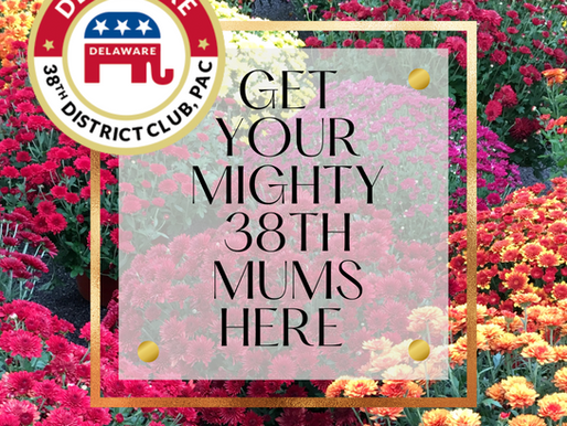 Order Your Mighty 38th Mums Here