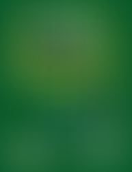 St. Patrick's Day Block Party 2024
