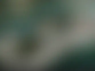 The Offshore Wind Turbine Controversy: Sussex County's Burden