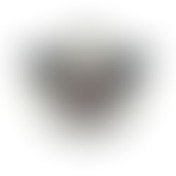 Delaware Republican Party Launches the Delaware Cornerstone Initiative