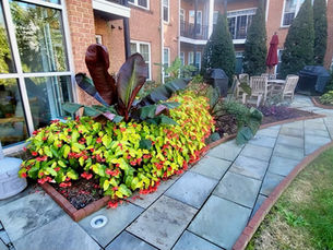 Elevating Curb Appeal: A Remarkable Garden Transformation for a Contemporary Apartment
