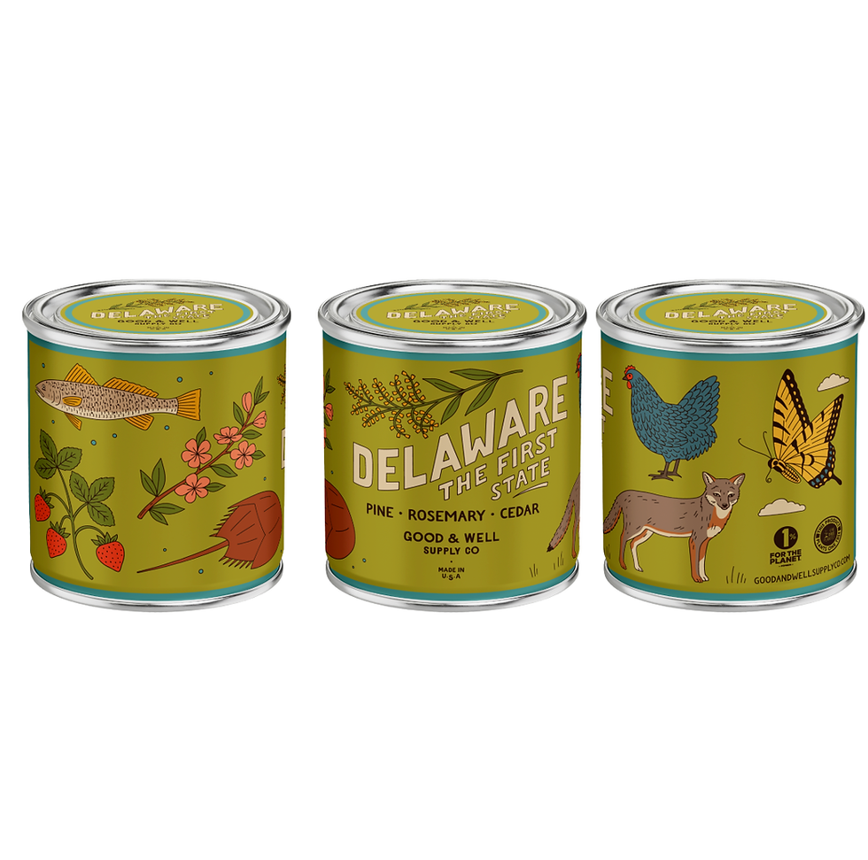 Thumbnail: Delaware State Soy Candle