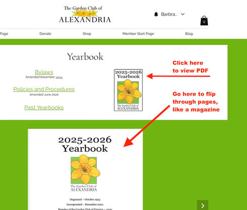 Navigating the Online 2025-2026 Yearbook