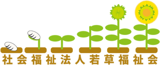 ひまわり成長2.png