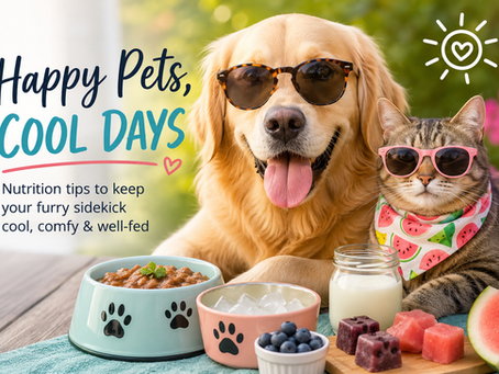 August Heat & Happy Pets: Keep Your Furry Sidekick Cool