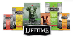 Lifetime - Large Bags on Sale