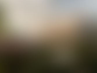 The Key Areas of a 4-Point Home Check