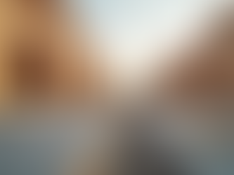 Explore Services by Flocon Contractors LLC: Contractor Services Overview