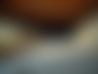 Musty Smell in a Florida Home? What It Could Mean and Where to Look