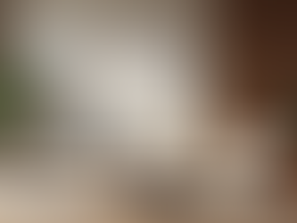 Interior Remodeling Trends You Should Know: Current Interior Design Updates