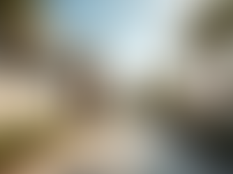 Winter Preparation for Your Northeast Florida Home