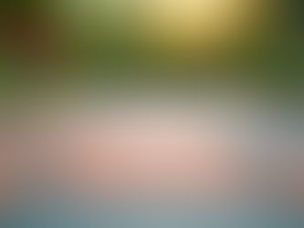 Concrete or Pavers? Driveways & Patios for Florida Yards