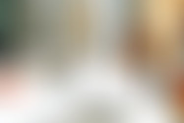 hoa board members election