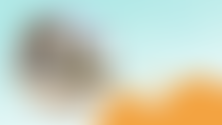 Customer Story: Southwind Condominium