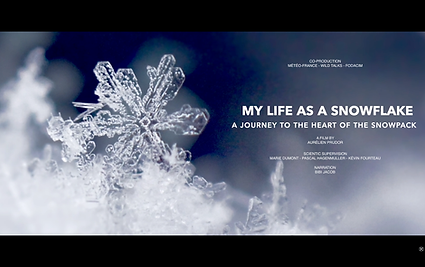 My Life as a Snowflake.png