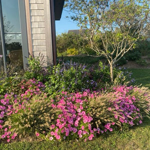 Residential Landscapes