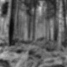 Aspromonte