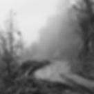 Aspromonte