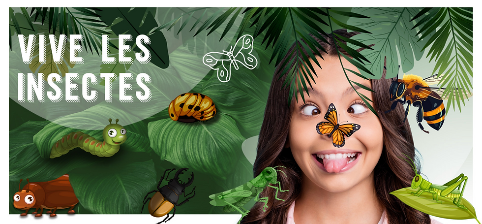 EXPO INSECTES.png