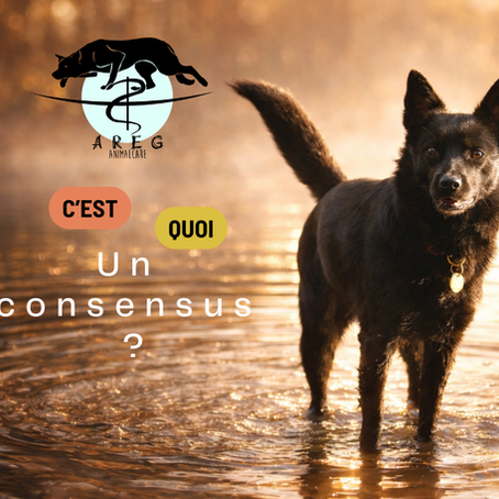 C’est quoi un consensus, ou pourquoi peut-on trouver des avis opposés sur un même sujet ?