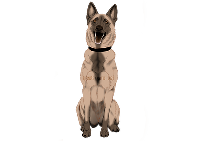 Square sit face couleur.png