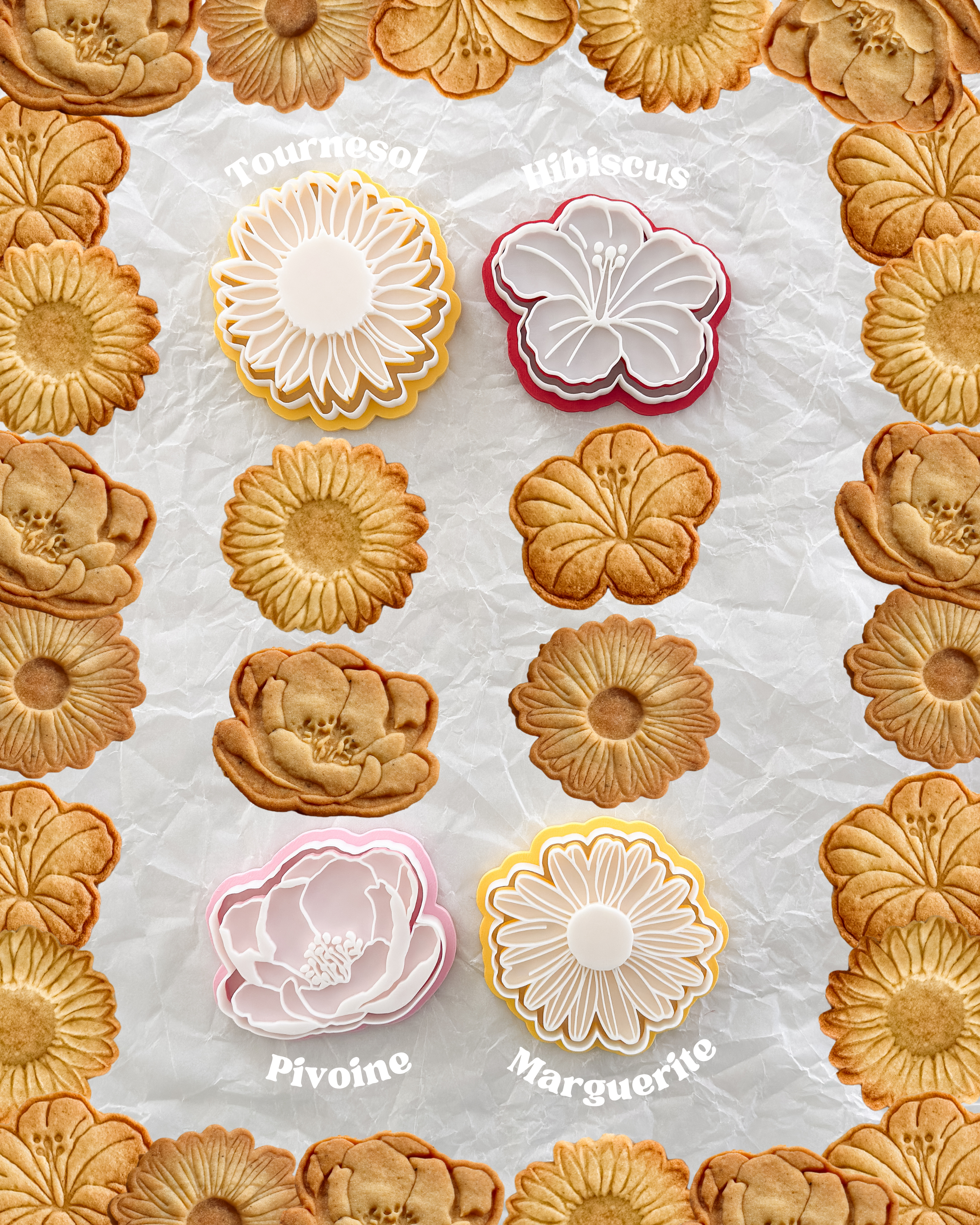 🌸 Set Fleurs de Saison