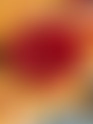 L'irrésistible tarte framboise - vanille !