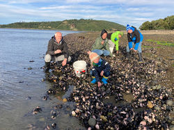 navega chiloe 25