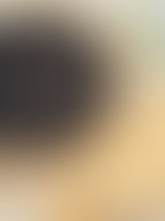 Ma tarte fine de l'été ou façon rustique !