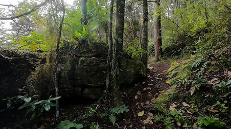 craggs006.jpg