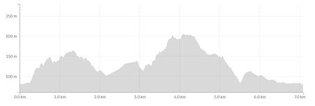 7km 281m vertical.jpg
