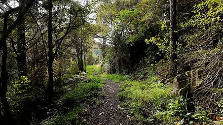 craggs009.jpg