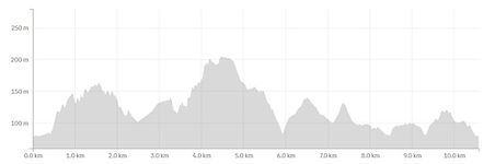 10km run 423m vertical.jpg