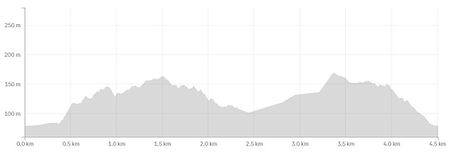 4.5km 173m vertical.jpg