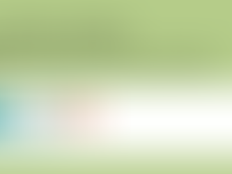 Green Cabbage announces Gary Scalise as President and Chief Revenue Officer