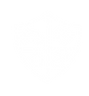 T&E.png