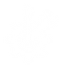 #5.png