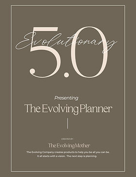 2021 PLANNER 8x11 Evolutionary 5.0 DAILY more lines - pewter- Eviory.jpg