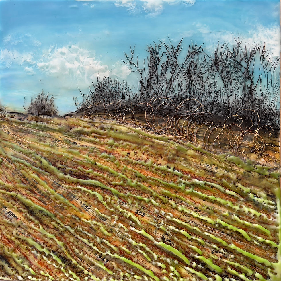 Winter Grasses in the Wind