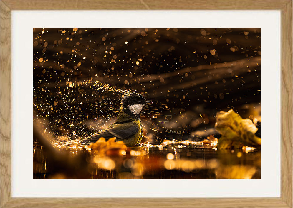 Toilette entre ombre et lumière