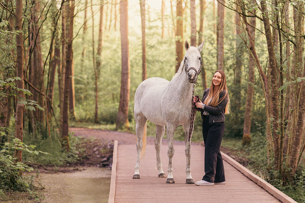 _DSC7426-20250426-DxO_DeepPRIME XD2s.jpg