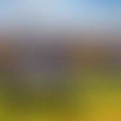 Microlight statistics 2024